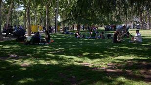 Detenido un joven por una presunta agresión sexual en el inicio de San Isidro