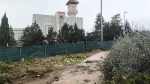 Árboles talados en la zona en la que se instalará el cantón auxiliar de San Pascual