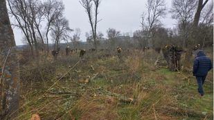 Vecinos de Villaviciosa de Odón marchan por la protección de los bosques Sotillo y Monreal