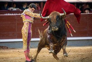 Oreja a la entrega de Víctor Hernández en unas Ventas cada día más blanda