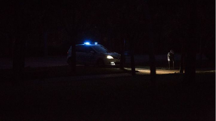 Un coche de la Policía Municipal patrullando en un parque