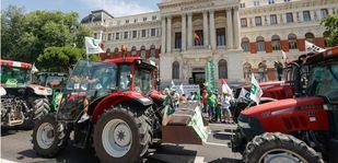 Aranceles y más controles fronterizos: Vox se encomienda a San Isidro en su defensa del campo madrileño