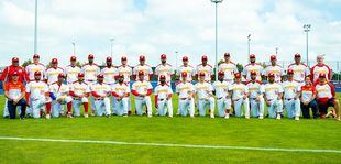 Conseguir sacar la bola fuera del estadio: béisbol