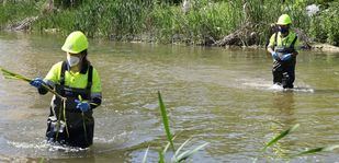 La mosca negra regresa con el calor y pone en guardia a algunos municipios
