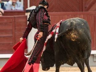 Oreja al natural para Aguado en nuevo petardo de los ‘juanpedros’