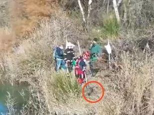 Hallado un perro ahogado en Arganda sujeto con cadenas y bloques de hormigón