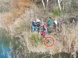 El cuerpo del animal ha sido hallado en una de las lagunas del Parque Regional del Sureste