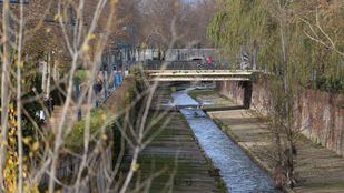 Collado Villalba impulsa la renaturalización del río Guadarrama con un ambicioso proyecto