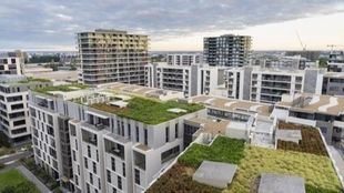 Cibeles apuesta por las cubiertas verdes para paliar el calor con un apoyo unánime