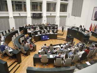 Fanjul restringe las intervenciones, la oposición habla de 'sectarismo' y Almeida arremete contra Sánchez y Vox