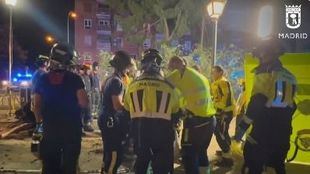 Herido grave tras caerle una rama de árbol en Carabanchel