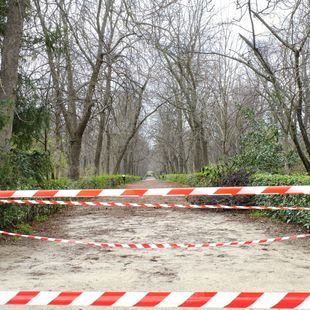 Aviso amarillo por tormentas en la Sierra y zonas balizadas en parques de la capital