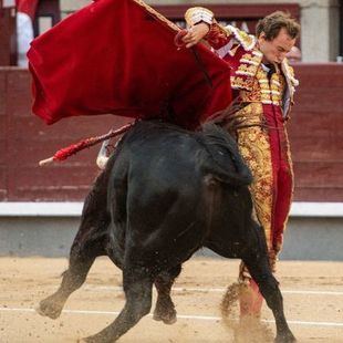 La Asociación El Toro juzga la tercera semana de feria