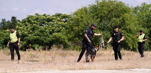 Un simulacro recrea la desaparición de un hombre con Alzheimer en un entorno campestre