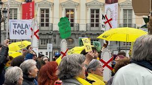 Protestas por la tala de árboles en la plaza Santa Ana.