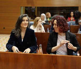 Más Madrid pide aumentar el presupuesto para prevención de delitos de odio al colectivo LGTBI