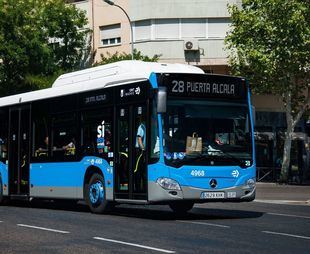 La carrera por el X aniversario de Felipe VI afecta a 41 líneas de EMT