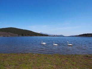 Preocupación en Guadarrama por el deterioro del entorno de La Jarosa