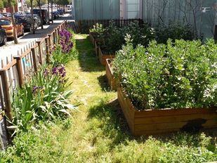 Cibeles liquida el programa Barrios Productores sin ponerlo en marcha