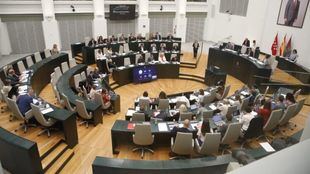 La bandera del Orgullo, las medallas a líderes internacionales y la Ley de Capitalidad, a debate en el Pleno