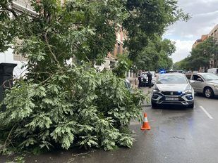 La tormenta de este martes dejó varios heridos leves en la capital