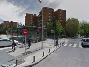 Ecologistas y vecinos denuncian el impacto de las obras de la L5 en el arbolado de Alameda de Osuna