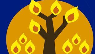 Más de 1.500 velas iluminarán Mataelpino este viernes en la Noche en Vela