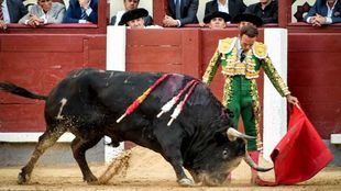 Apoteosis artística de Ferrera: dos bellísimos faenones y tres orejas