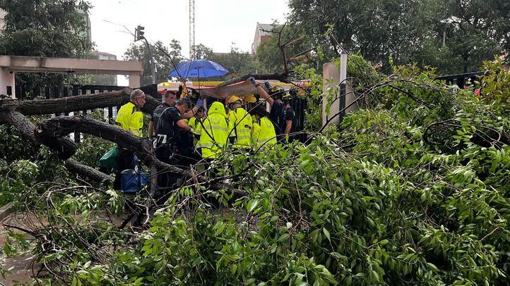 Los servicios de emergencias atienden a una mujer herida por la caída de un árbol