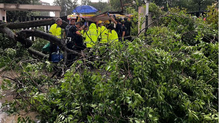 Los servicios de emergencias atienden a una mujer herida por la caída de un árbol