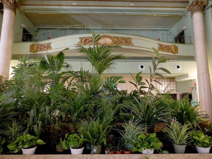 Refugio climático en el Círculo de Bellas Artes durante el verano de 2024