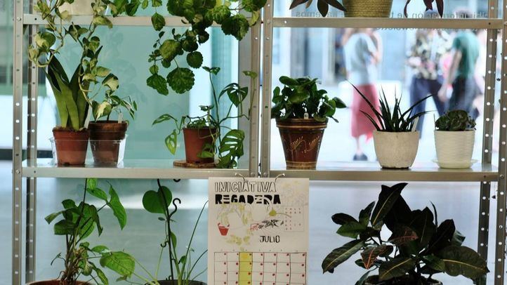 El Museo Centro de Arte Dos de Mayo, en Móstoles, es uno de los espacios que acoge las plantas este verano.