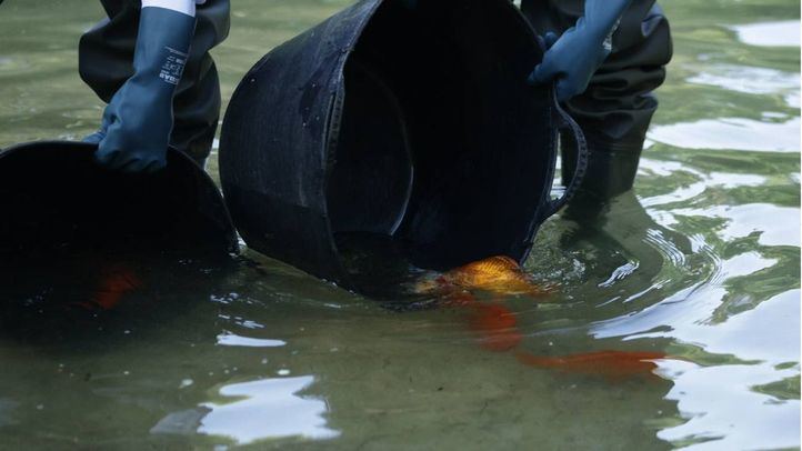 Borja Carabante visita la Quinta de los Molinos para comprobar el resultado de las labores de limpieza del lago