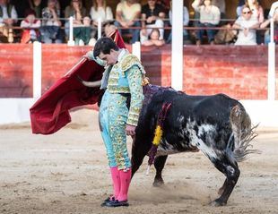 El novillero Sergio Rollón, estabilizado tras la grave cornada sufrida el sábado