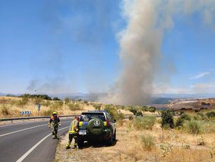 Controlado un incendio forestal en la Ribera de San Pedro, en Arroyomolinos