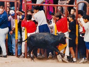 El nuevo reglamento taurino de la Comunidad permite a Arganda recuperar el 'Martes de vaquillas' 28 años después