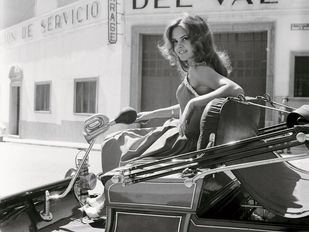 Polémica en 'Madrid icon pop': denuncian "blanqueamiento" del franquismo