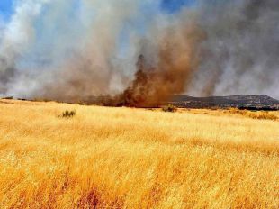 Recuperada la circulación del AVE entre Madrid y Andalucía tras controlar el incendio en Ciudad Real