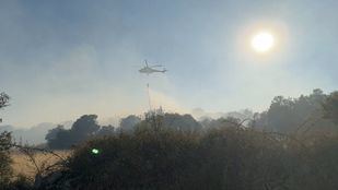 Estabilizado el incendio forestal declarado en Zarzalejo