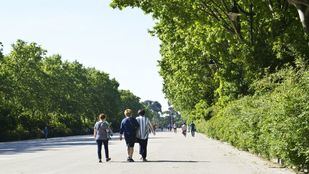El Retiro vuelve a echar el cierre este viernes por viento y altas temperaturas