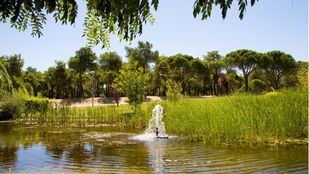 La región ha ahorrado más de 200 hectómetros cúbicos de agua desde que Canal la regenera en sus depuradoras