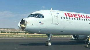 Susto en un avión de Iberia tras impactar contra él un ave