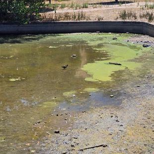 Vecinos de Sanchinarro, por la recuperación del Parque de la Ría