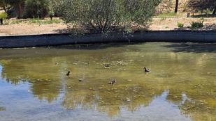 Parque de la Ría de Sanchinarro