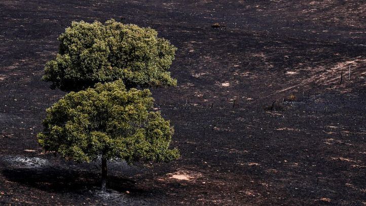 Incendio en Tres Cantos