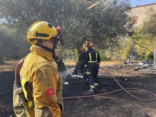 Controlado un incendio en San Martín de Valdeiglesias que avanzaba hacia una zona industrial