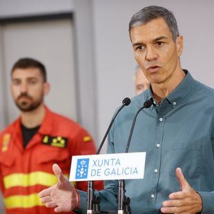 Sánchez propone un "gran pacto" de Estado para responder a los efectos de la "emergencia climática"
