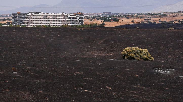 Zona calcinada en Tres Cantos