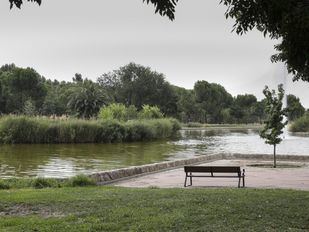 El parque Emperatriz María de Austria, un laboratorio verde para la biodiversidad urbana en Carabanchel
