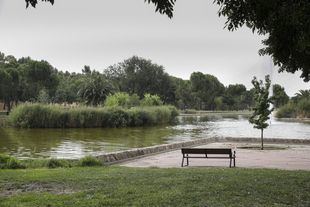 Parque Emperatriz María de Austria: biodiversidad urbana en Madrid